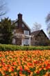 flowers_088